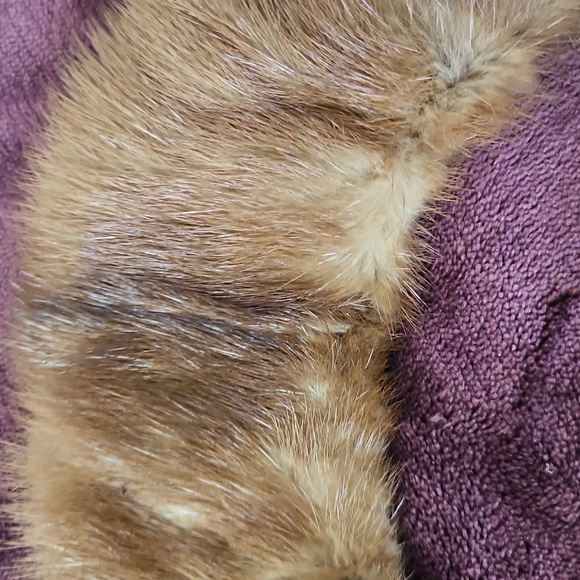 Vintage Mink Collar - Picture 8 of 9